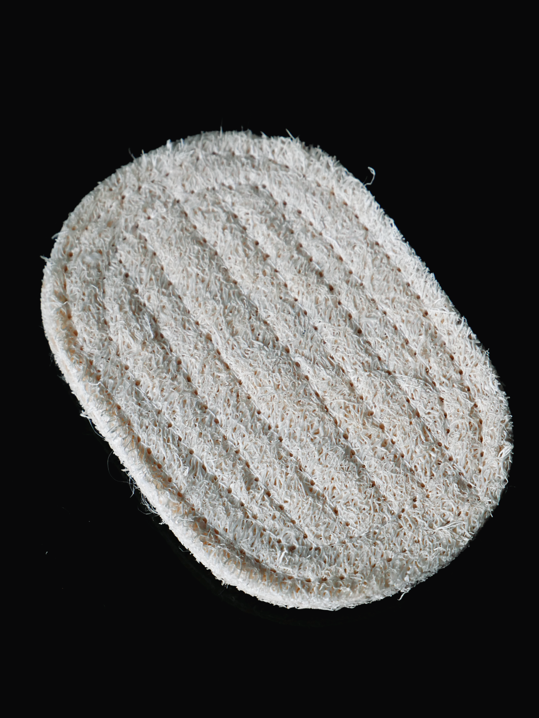 Luffapad Seifenablage PATTY