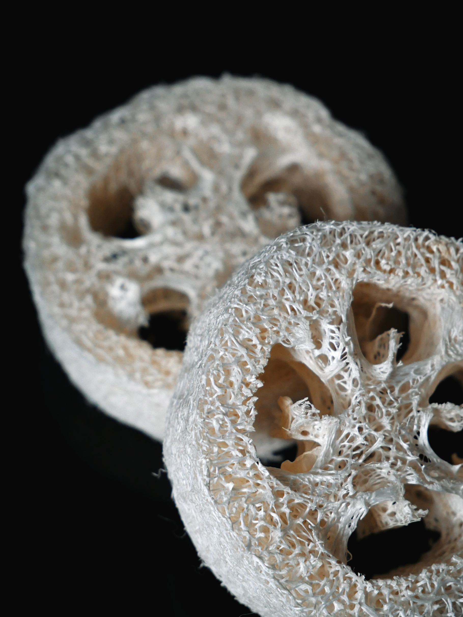 Luffa Seifenablage LOU