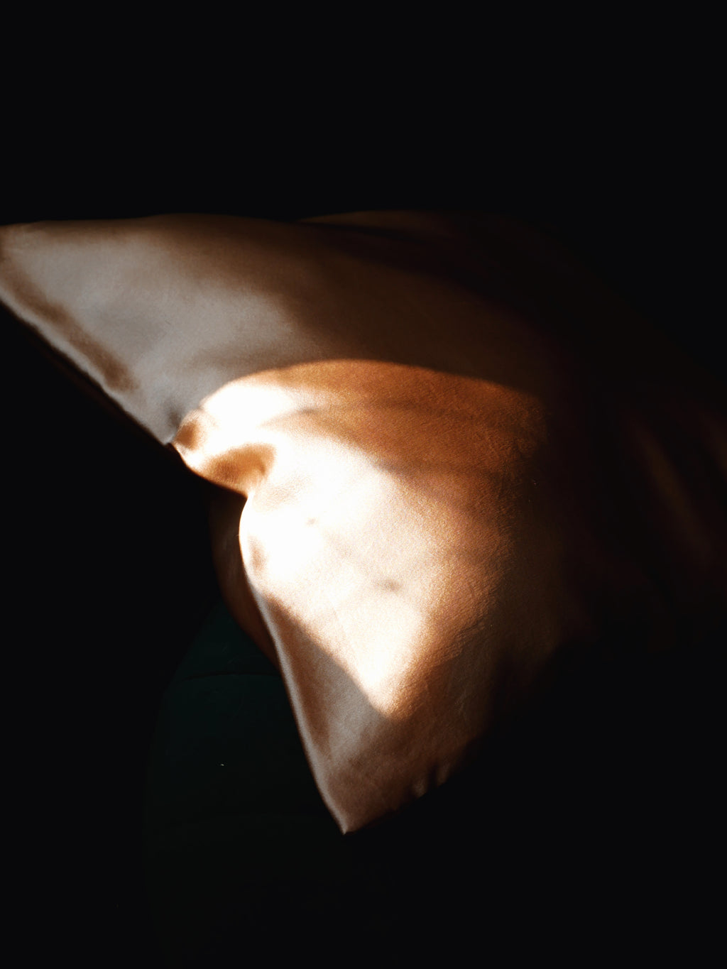 Seiden-Kissenbezug aus Ahimsa-Seide – 21 Momme | SILKZzz